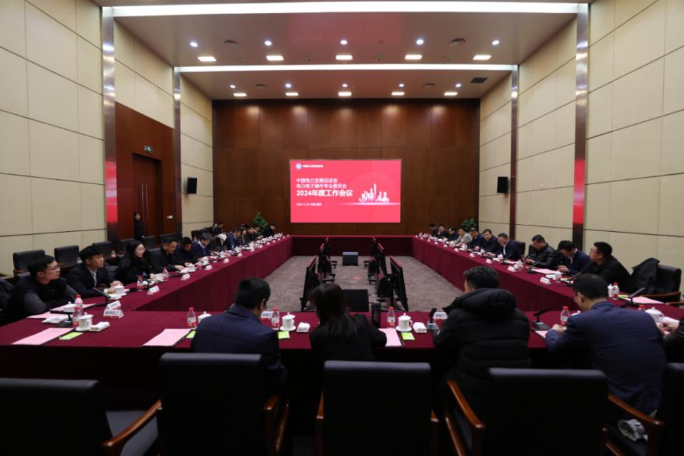 中國電力發(fā)展促進(jìn)會(huì)電力電子器件專委會(huì)2024年度工作會(huì)議成功召開